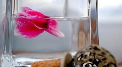 Village Aparthotel Monemvasía