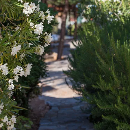 Village アパートホテル